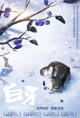 97久久综合区小说区图片专区
