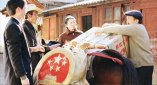 japanese丰满少妇